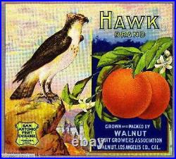 306294 Walnut Los Angeles County Hawk Bird Orange Fruit Crate POSTER PLAKAT