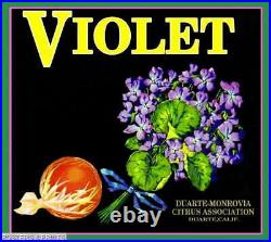 306641 Duarte Los Angeles County Violet #2 Orange Fruit Crate PRINT POSTER CA