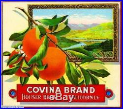 306911 Covina Los Angeles County Orange Citrus Fruit Crate Box POSTER Affiche