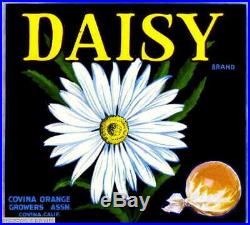 307139 Covina Los Angeles County Daisy #2 Orange Fruit Crate POSTER Affiche