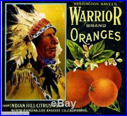 307302 Pomona Los Angeles County Warrior #2 Orange Fruit Crate POSTER Affiche