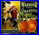 307302_Pomona_Los_Angeles_County_Warrior_2_Orange_Fruit_Crate_POSTER_PLAKAT_01_vm