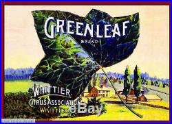 307575 Whittier Los Angeles County Greenleaf Lemon Fruit Crate POSTER Affiche