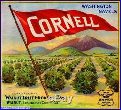 307606 Walnut Los Angeles County Cornell Orange Fruit Crate POSTER Affiche