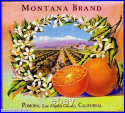 307792 Pomona Los Angeles County Montana Orange Fruit Crate POSTER Affiche