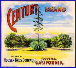 309195 Covina Los Angeles County Century Tree Orange Fruit Crate POSTER Affiche