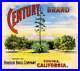 309195_Covina_Los_Angeles_County_Century_Tree_Orange_Fruit_Crate_POSTER_Affiche_01_pn