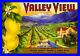 95793_Claremont_Los_Angeles_County_Valley_View_Lemon_Decor_LAMINATED_POSTER_CA_01_jqck