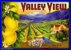 95793 Claremont Los Angeles County Valley View Lemon Decor LAMINATED POSTER FR