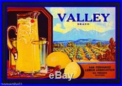 96869 San Fernando Los Angeles County Valley Lemon Decor LAMINATED POSTER DE