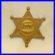 Amazing_Vintage_Plaque_Deputy_Sheriff_Los_Angeles_County_Badge_12_Across_01_pht