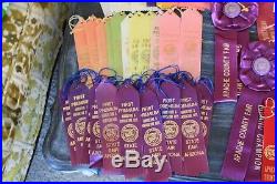 Apache Los Angeles Kern County Arizona State Fair 150 Ribbons Crafting Art Craft