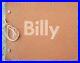 Billy_Art_Book_Billy_Al_Bengston_s_1968_retrospective_Designed_by_Ed_Ruscha_01_roz