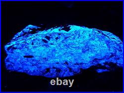 KB New 2014 Find! FANTASTIC ORE SPECIMEN FL. BLUE/WH SCHEELITE, ANDREW MINE, CA