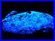 KB_New_2014_Find_FANTASTIC_ORE_SPECIMEN_FL_BLUE_WH_SCHEELITE_ANDREW_MINE_CA_01_xby