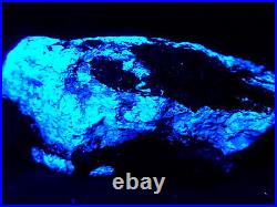 KB New 2014 Find! FANTASTIC ORE SPECIMEN FL. BLUE/WH SCHEELITE, ANDREW MINE, CA