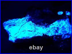 KB New 2014 Find! FANTASTIC ORE SPECIMEN FL. BLUE/WH SCHEELITE, ANDREW MINE, CA