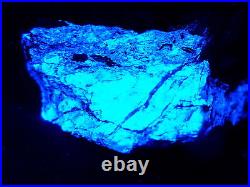 KB New 2014 Find! FANTASTIC ORE SPECIMEN FL. BLUE/WH SCHEELITE, ANDREW MINE, CA