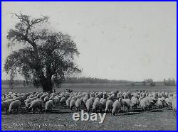 LOS ANGELES Album with 36 Original Studio Photos. Ca. 1900s