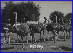 LOS ANGELES Album with 36 Original Studio Photos. Ca. 1900s