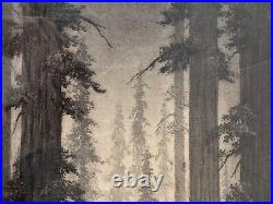 RARE Old Early California Arts & Crafts Landscape Print, Redwoods DOOLITTLE