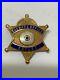 Rare_1950_s_Los_Angeles_County_Sheriff_Expert_Shooting_Pin_Gold_Filled_1_Pin_01_ph