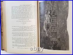 Signed Irrigation in Southern California William Hammond Hall 1st State Engineer