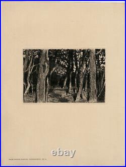 WALTER LEISTIKOW,'BAUMGRUPPE (GROVE OF TREES)', drypoint, c. 1896
