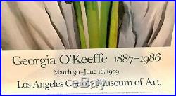 Yellow Calla by Georgia O'Keeffe Art Print Los Angeles County Museum (18x47)