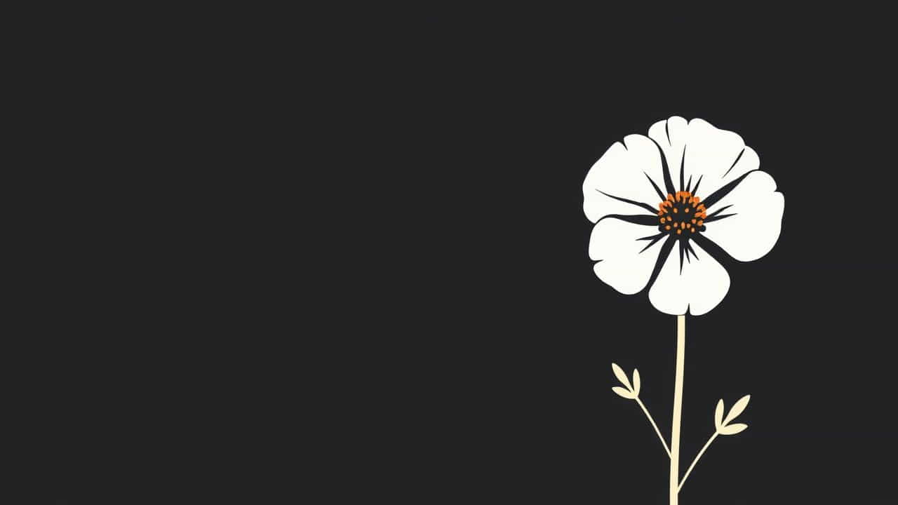 Zonal Geranium Sun Or Shade