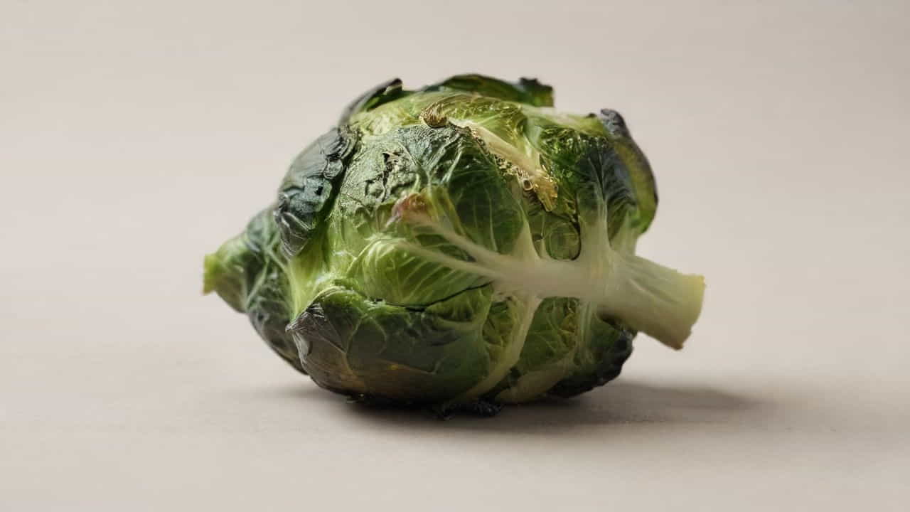 Over The Wall Charity