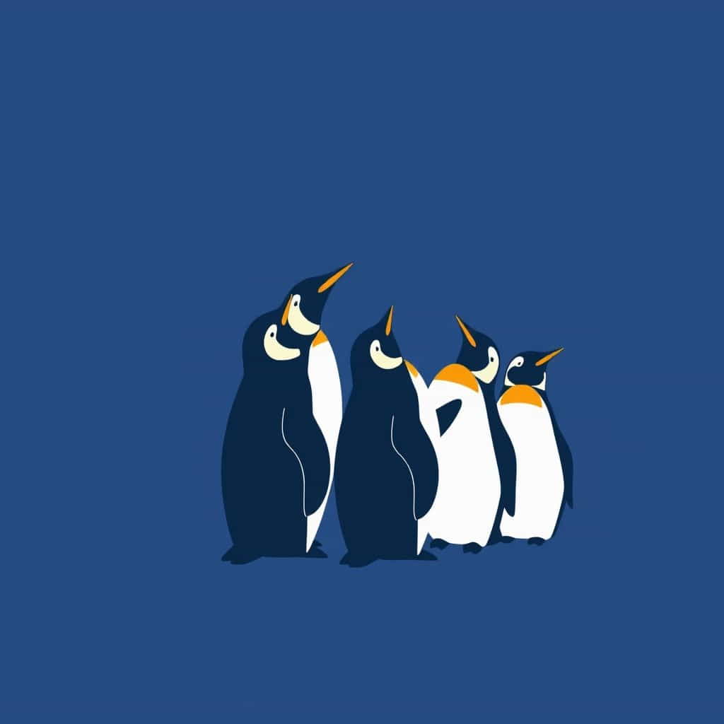 Penguins Singing To Mourn Sydney