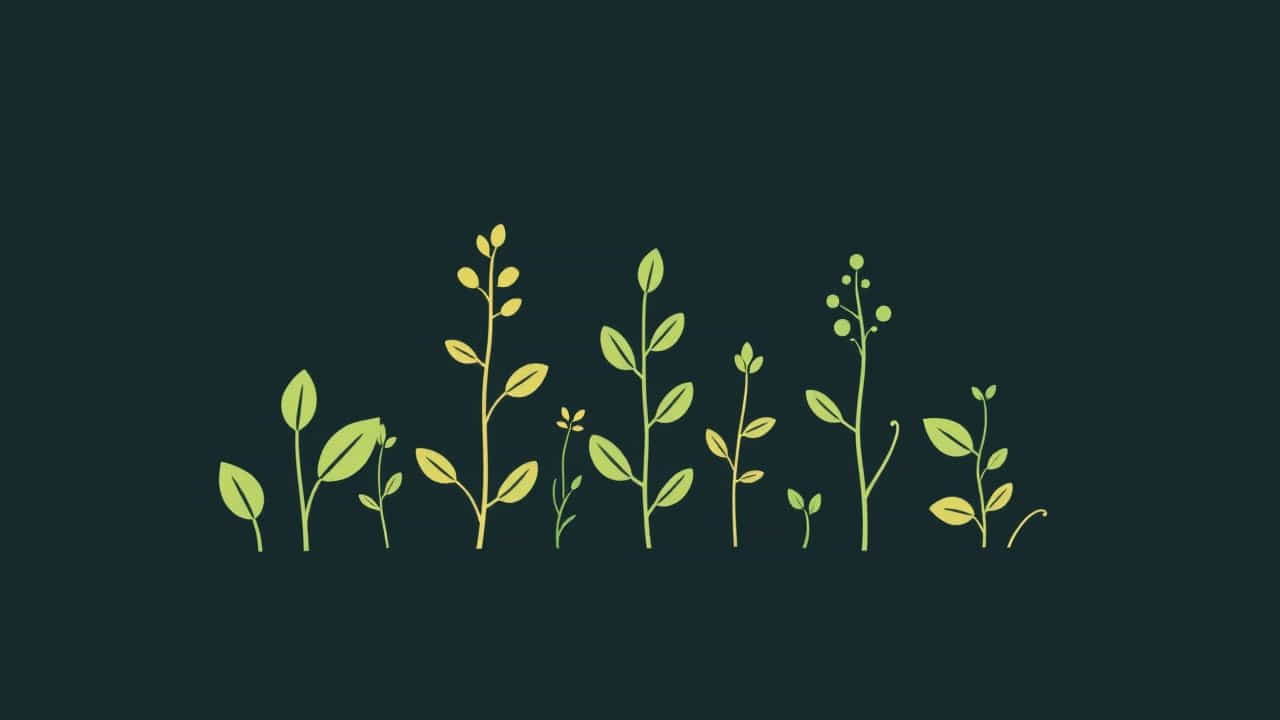 Plants That Outgrow Weeds