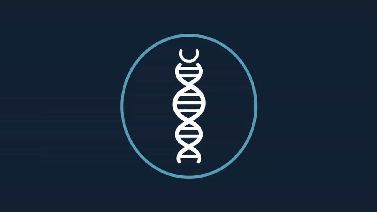 Qualifications To Be A Geneticist