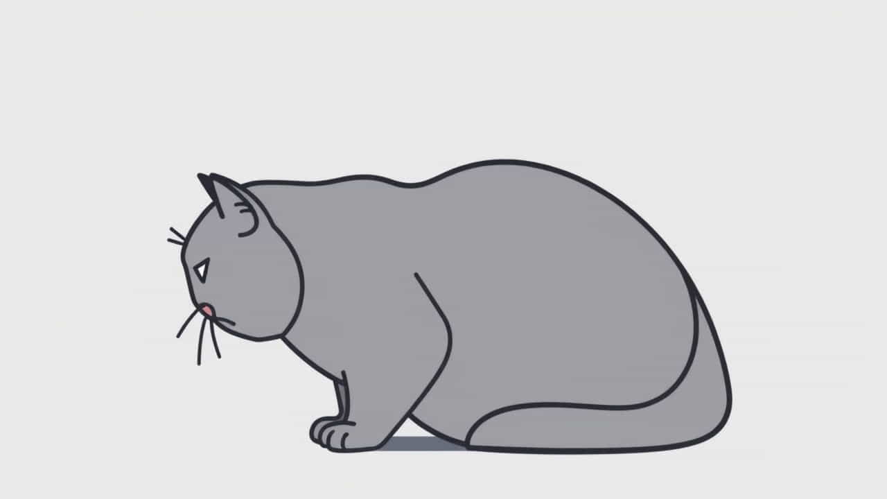 Record For Fattest Cat