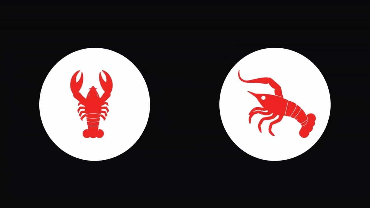 Red Lobster Endless Shrimp Loss