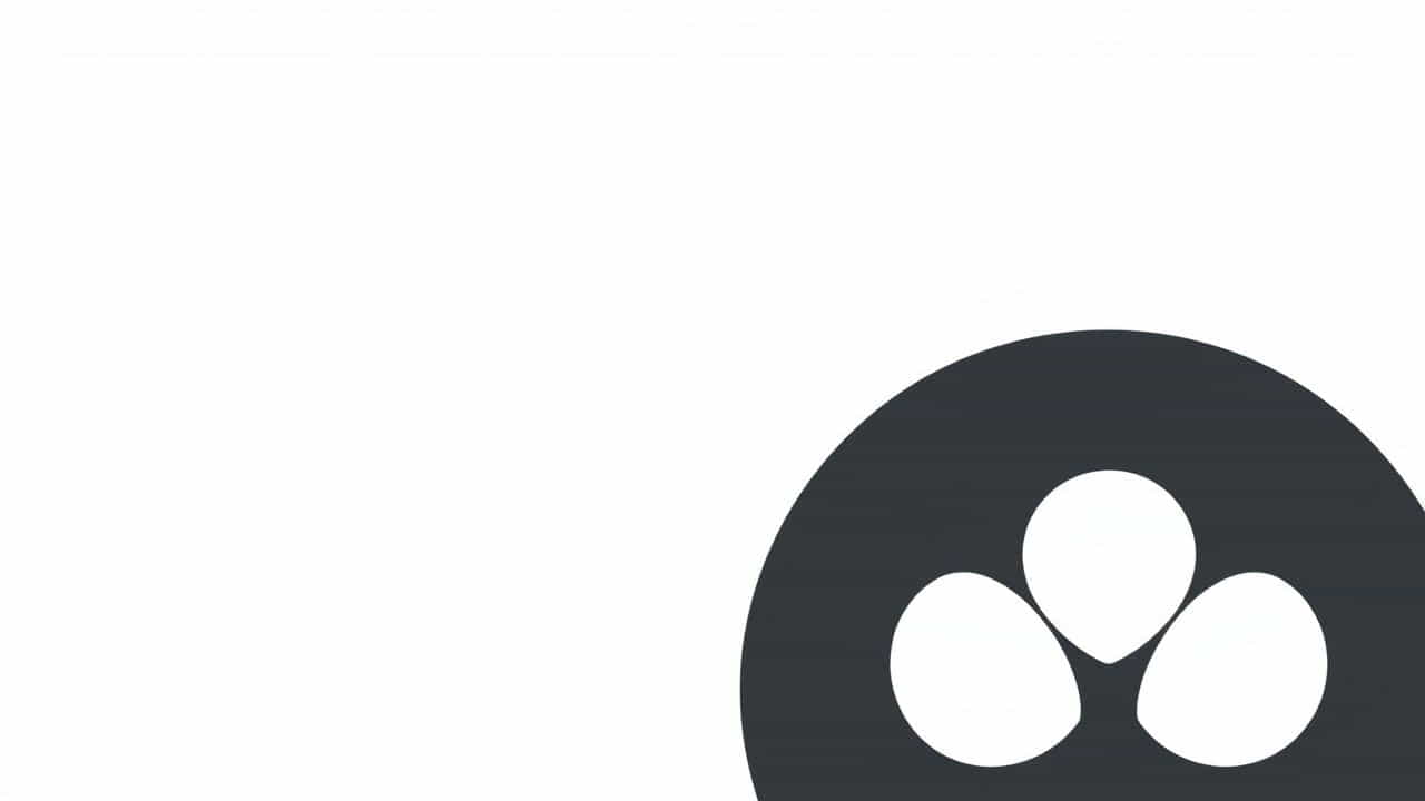 Role Of Antipodal Cells