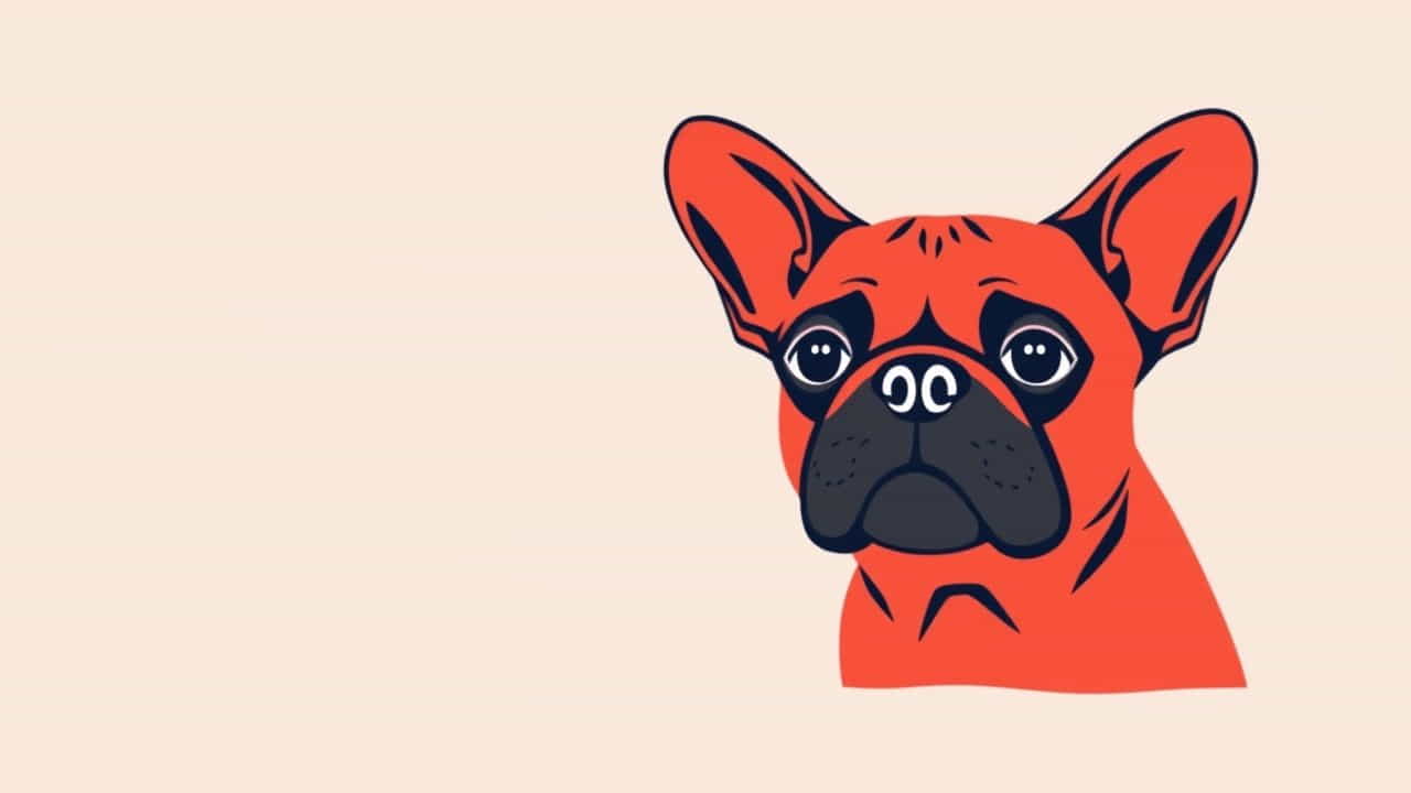 Rough Haired Slovakian Pointer