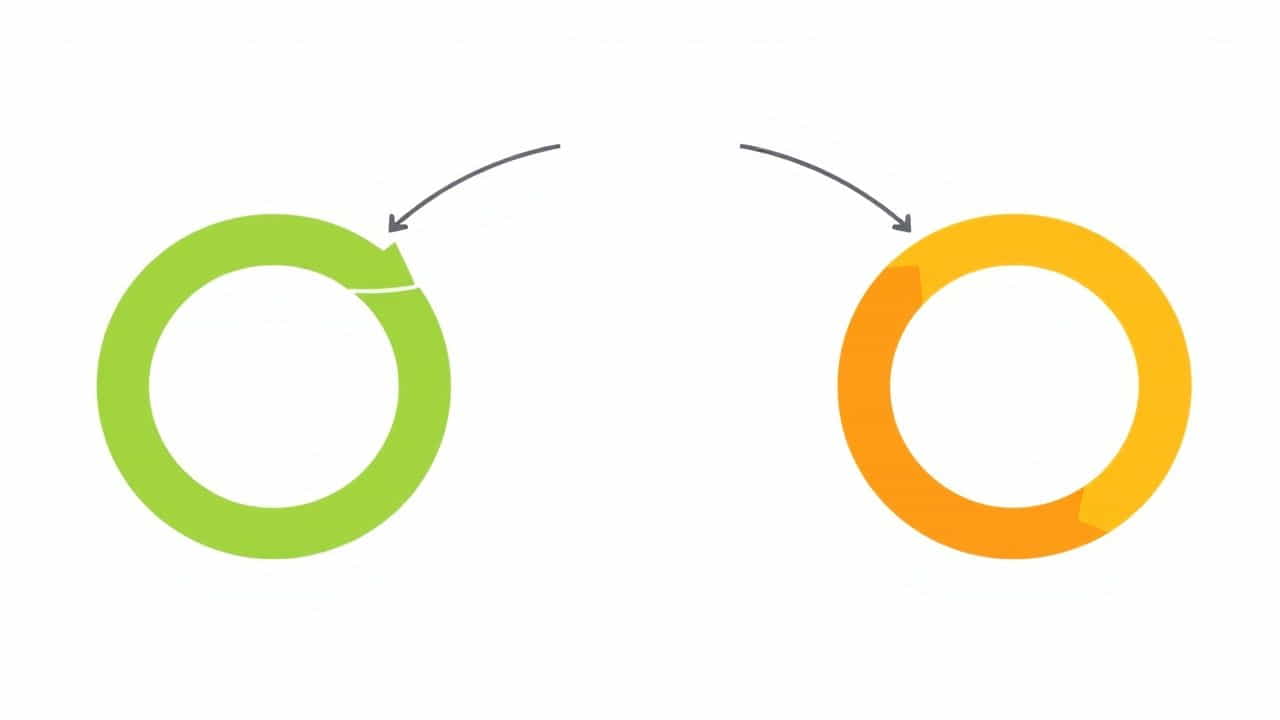Shape Of Bacilli Bacteria