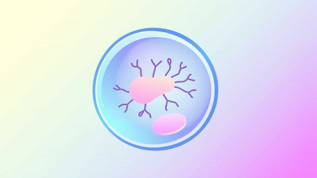 Single-Celled Organisms (Precambrian Time)