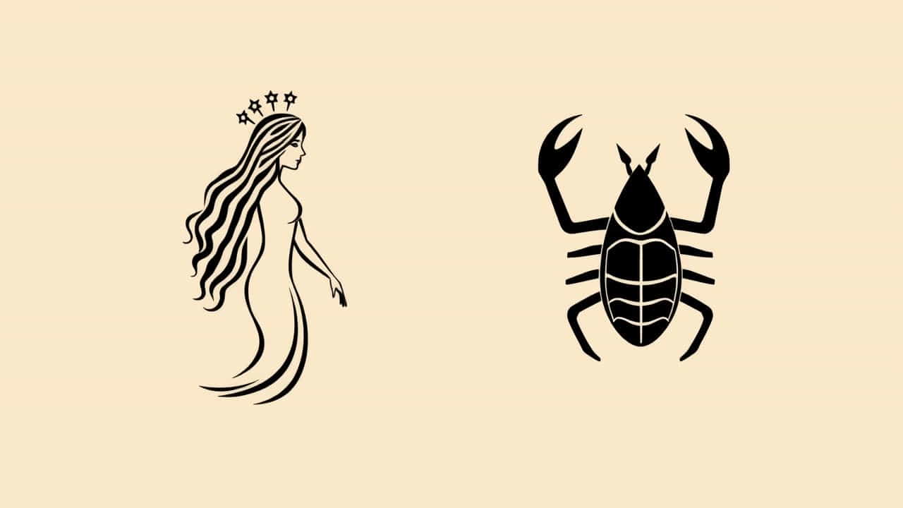 Virgo Compatibility With Other Signs