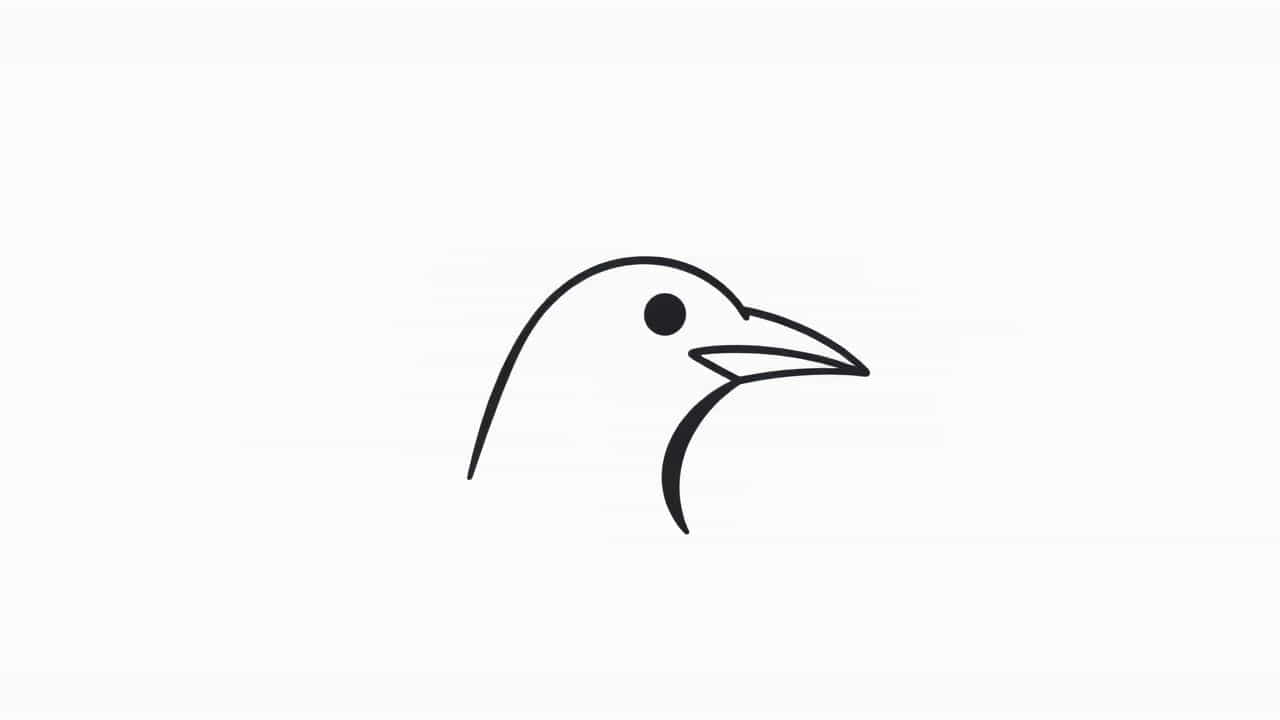 What Is Beak In Bird