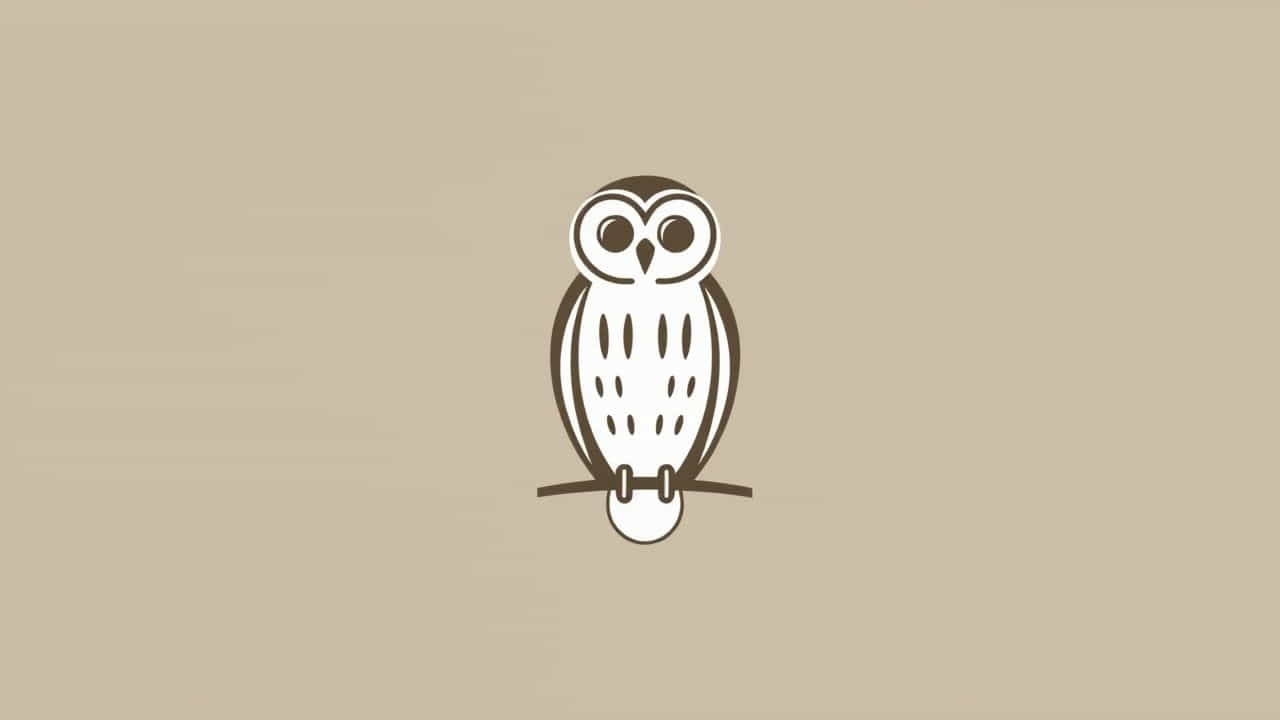 What Is Jak Stat Pathway