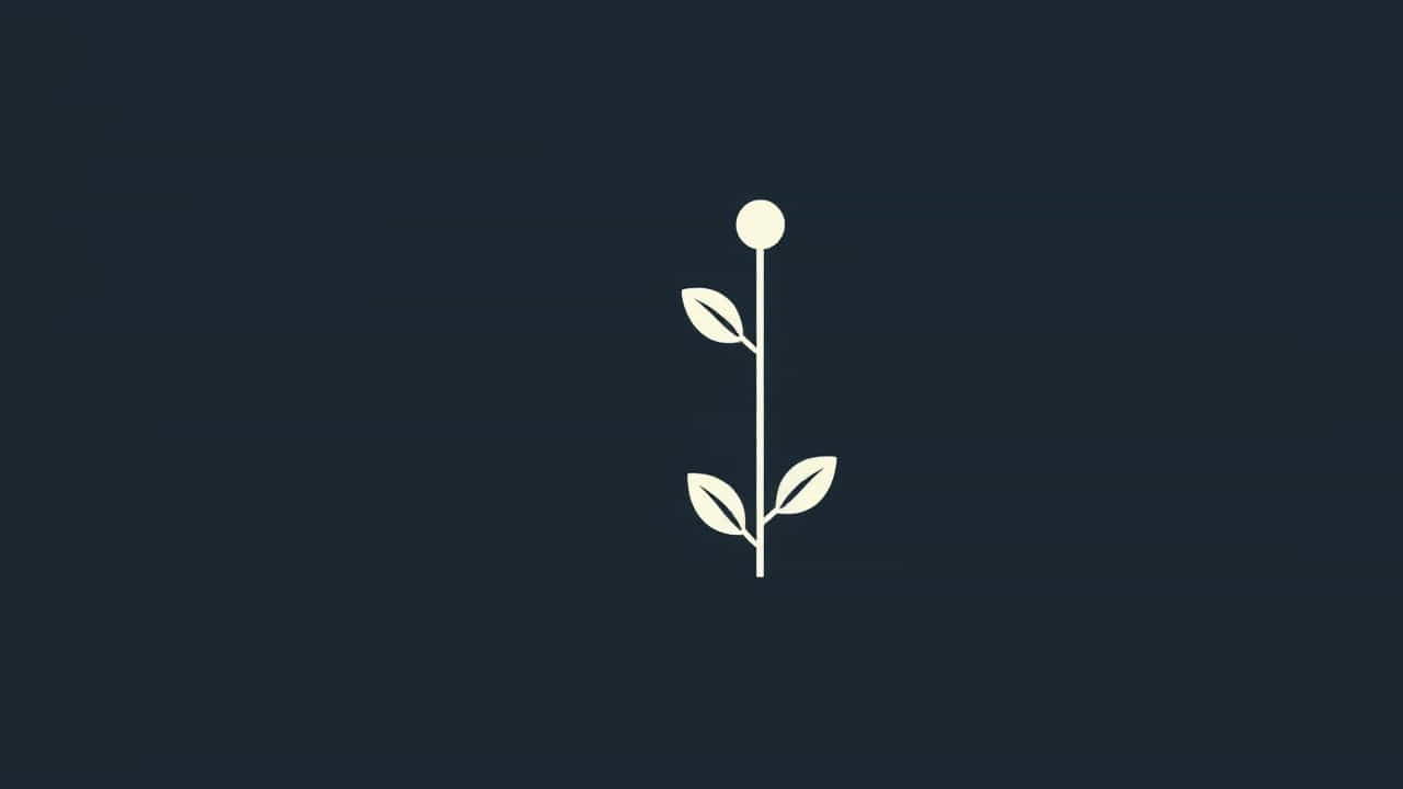 What Is A Tuber Plant