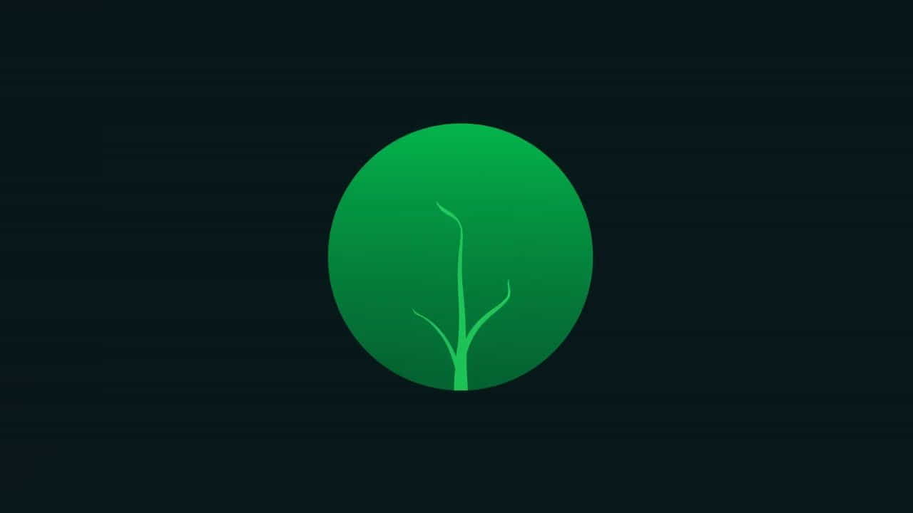 Xt 6 Deep Lichen Green