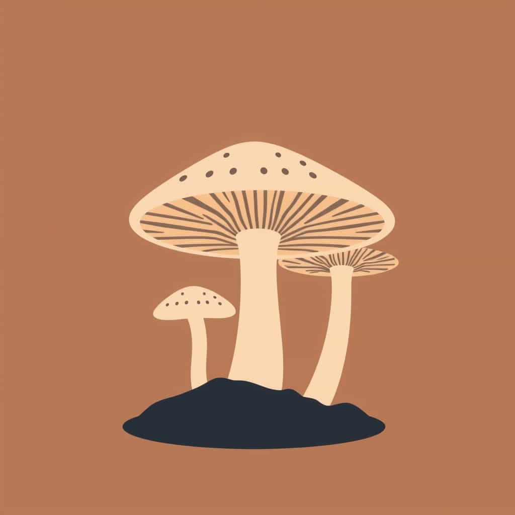 Basidiospores Are Motile Or Non-Motile