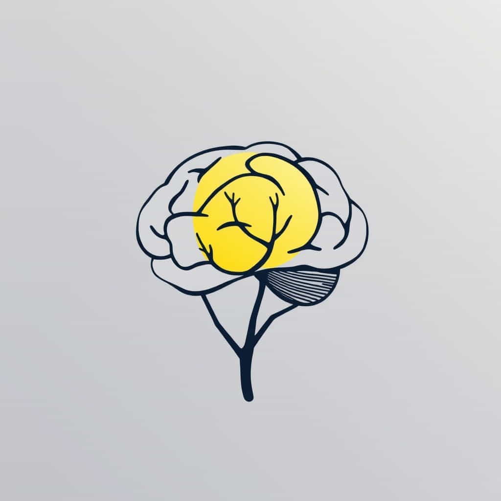 Cons Of Naturalistic Observation In Psychology