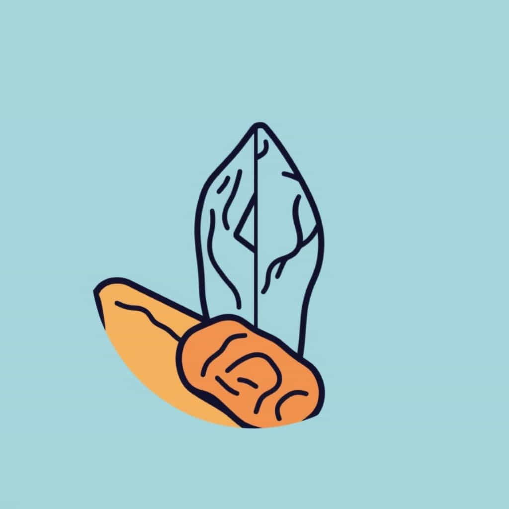 Difference Between Lithology And Petrology