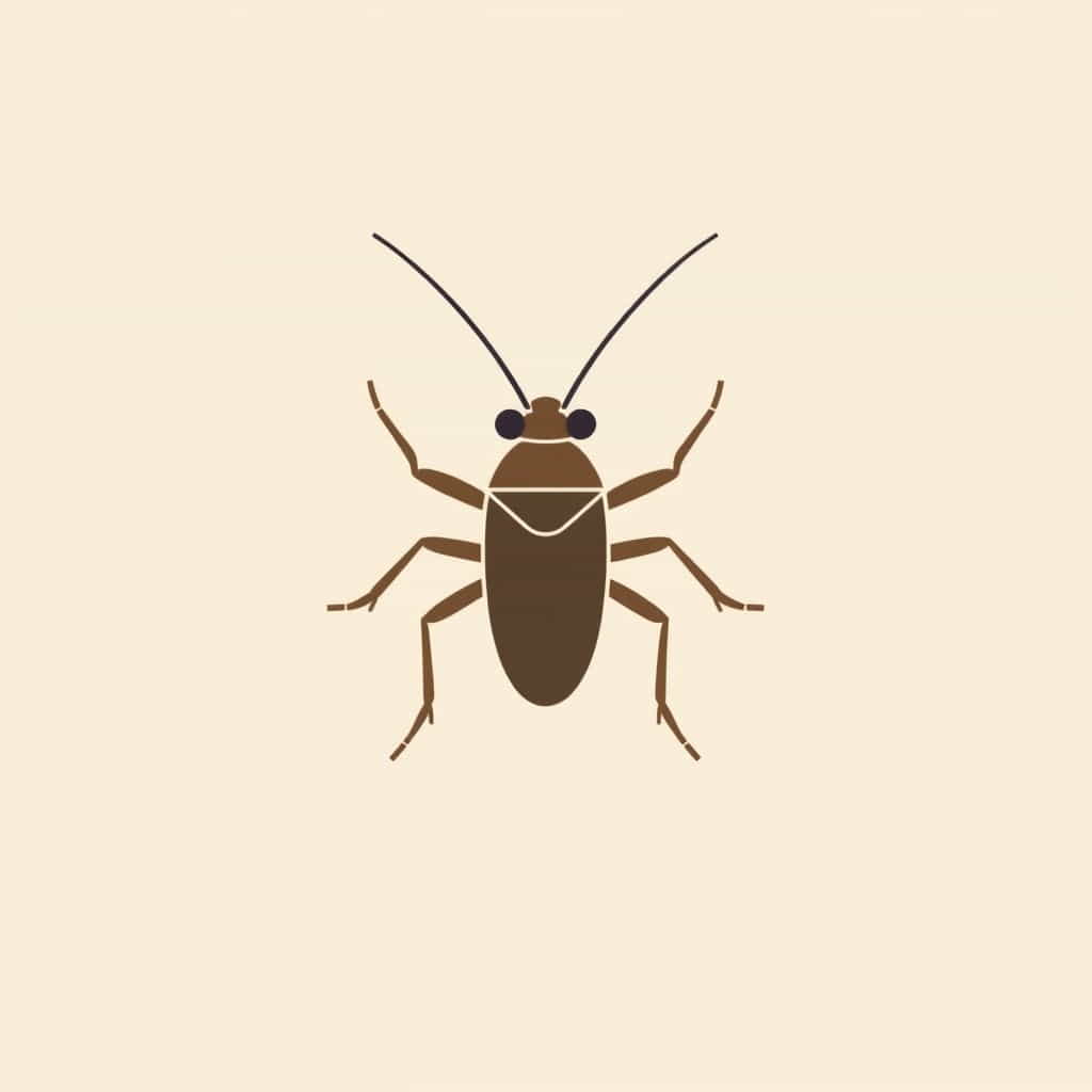 Function Of Maxillae In Cockroach