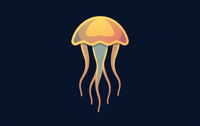 How To Use Spermicidal Jelly